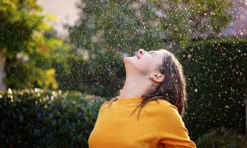 Taller de Creación de Muñecos Articulados de Lana